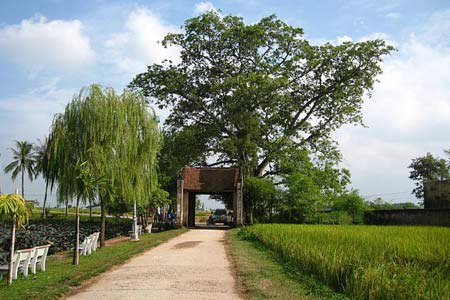 5 công trình cổ làng Đường Lâm được vinh danh
